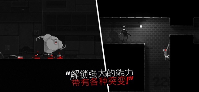 做博主7年为什么突然停更